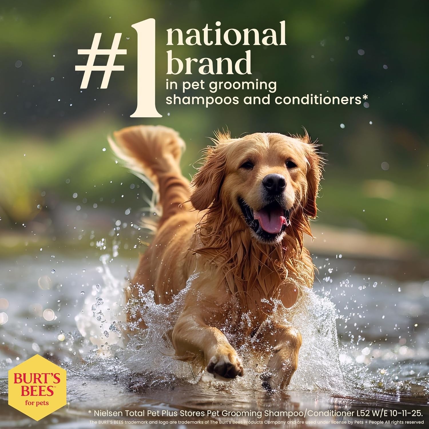 Deodorizing Dog Shampoo with Apple and Rosemary, 95% Natural Origin, Ph Balanced, Free of Sulfates, for Smelly Dogs, Gentle Dog Shampoo, 16 Fl Oz - 2 Pack